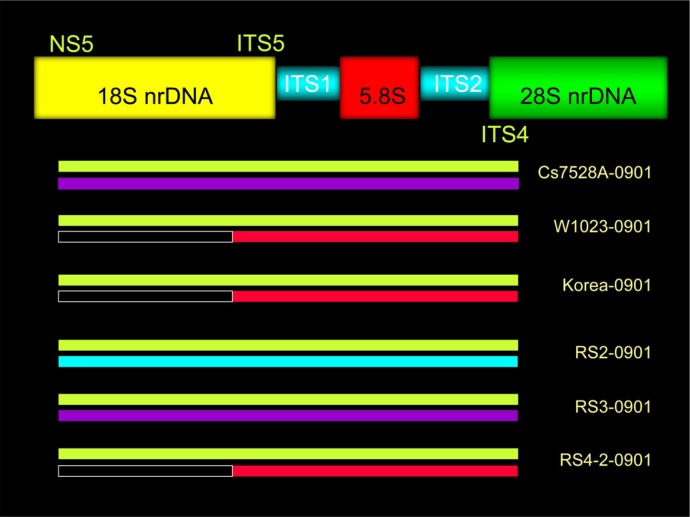 Figure 3.