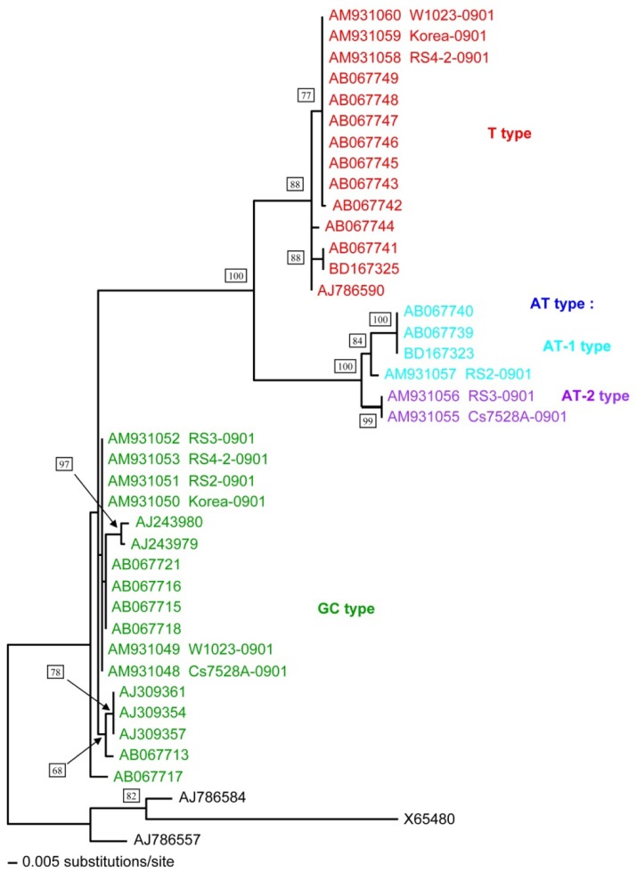 Figure 2.