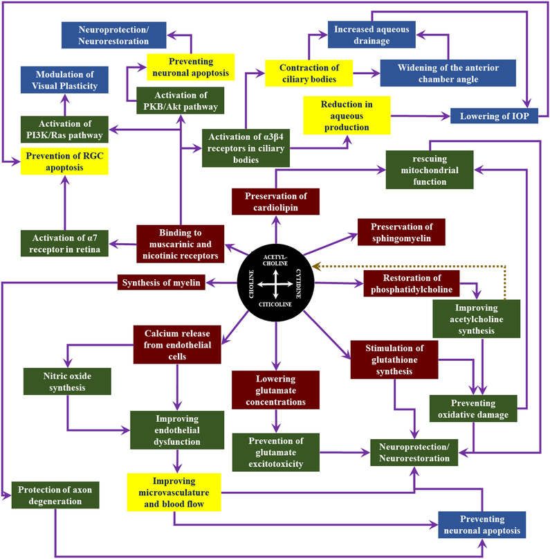 Figure 10: