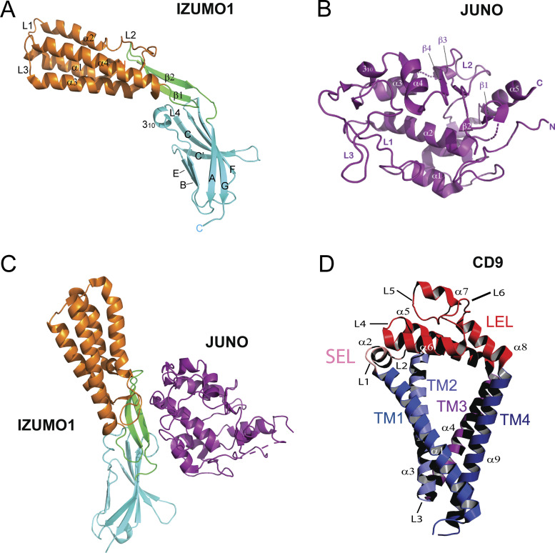 Figure 2.