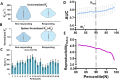 Discriminator classification performance for response assessment in
abdominal metastases. Violin plots of responding tumor (RT) versus
nonresponding tumor (NRT) classes for (A) mean unnormalized transverse
relaxation rate (R*2) and (B) mean spleen normalized transverse
relaxation rate (rR*2). Nineteen participants’ average spleen
R*2 are shown 24 hours after FMX (C). The error bar represents
R*2 SD within the regions of interest. The area under the receiver
operating characteristic curve (AUC) of rR*2 (D) shows that
discriminator performance increases as the percentile threshold (N)
increases. (E) However, Reproducibilityindex decreases with increasing
percentile. A compromise threshold percentile (Nopt) is indicated by the
dashed gray line, which was selected to provide good AUC for rR*2 and
acceptable Reproducibilityindex.