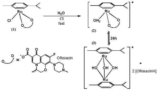 Scheme 1