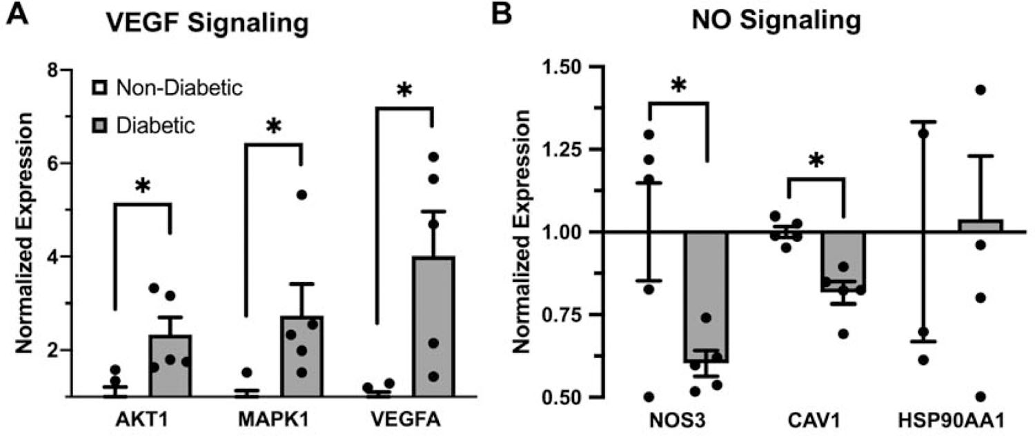 Figure 5: