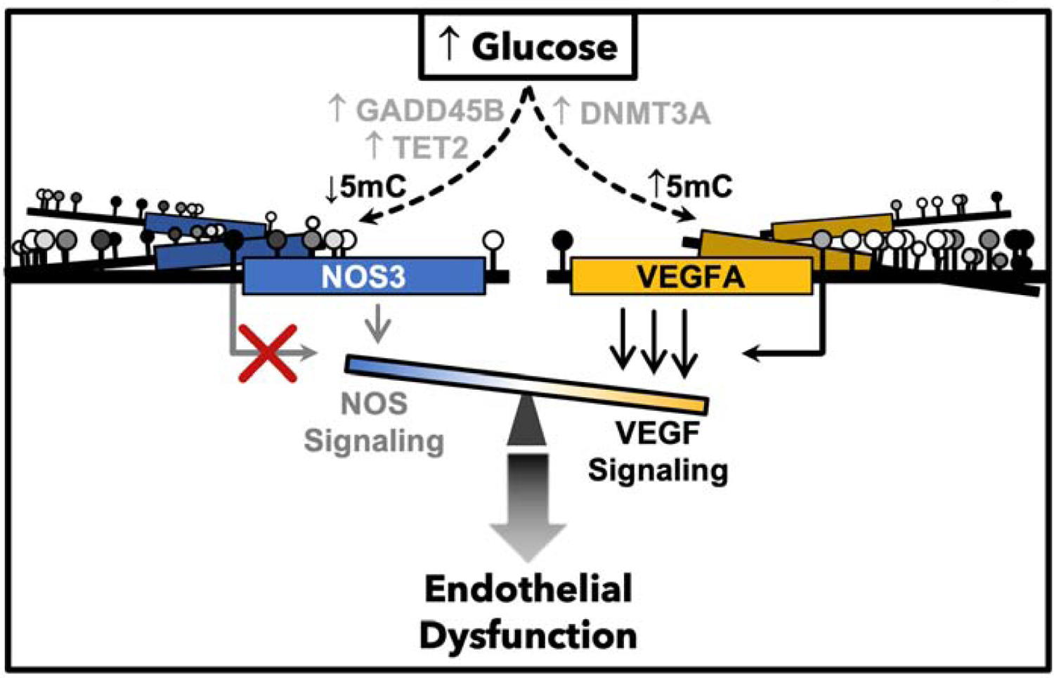 Figure 6: