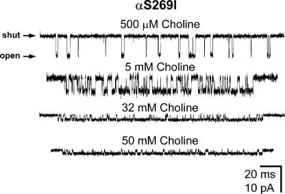 Figure 11.