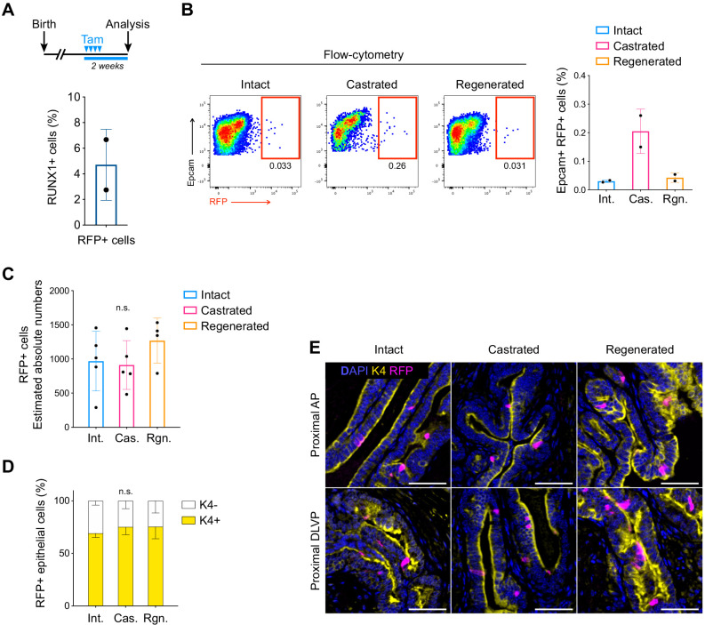 Figure 4—figure supplement 1.