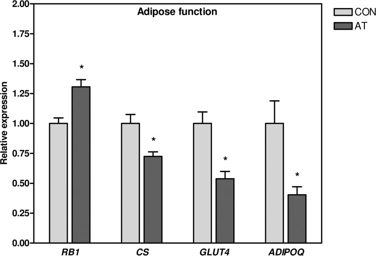 Inflammatory and Metabolic Alterations of Kager's Fat Pad in Chronic ...