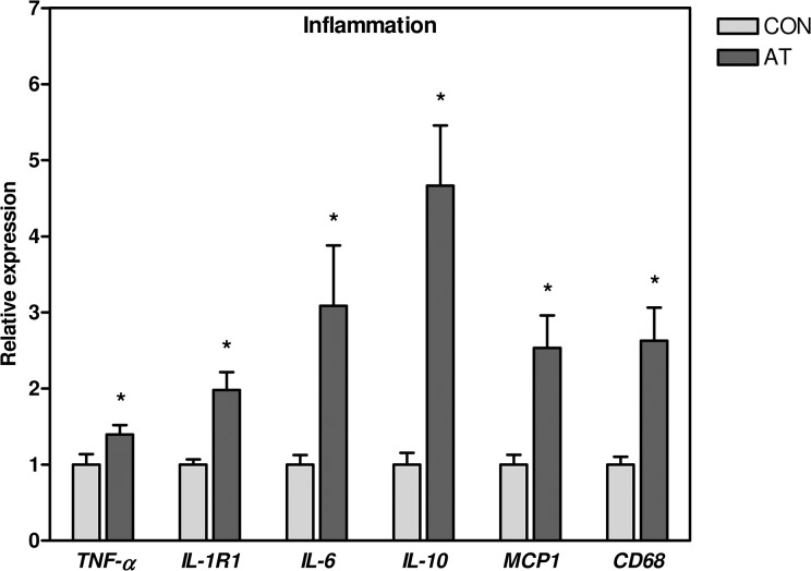 Inflammatory and Metabolic Alterations of Kager's Fat Pad in Chronic ...