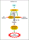 Fig 3.