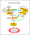 Fig 2.