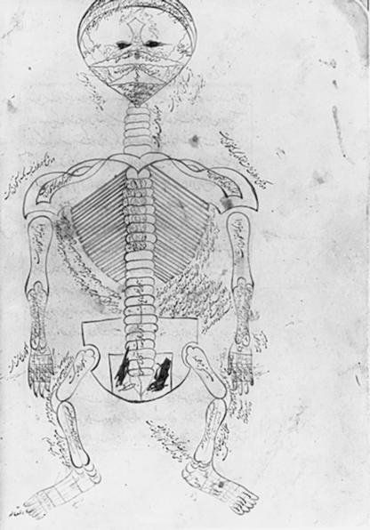 Fig. 11