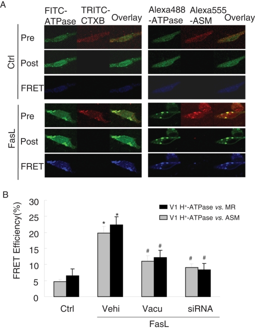 FIGURE 9: