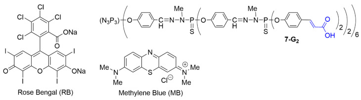 Figure 11