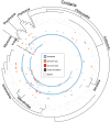 Fig. 3.