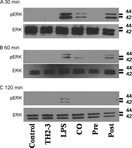 FIGURE 9.