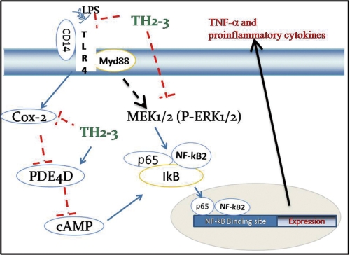 FIGURE 11.