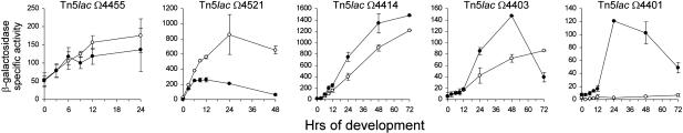 Fig. 5.