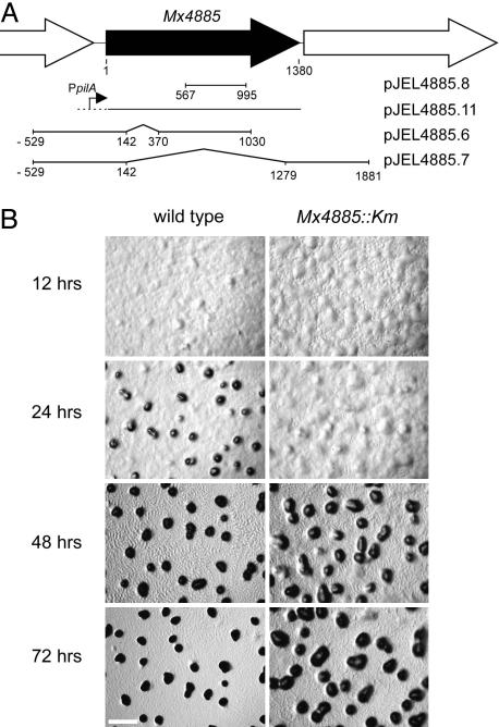 Fig. 3.