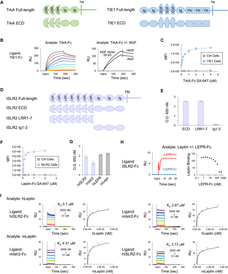 Figure 6