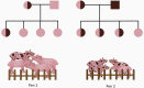 Figure 2.3.