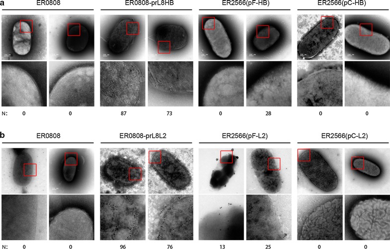 Fig. 7