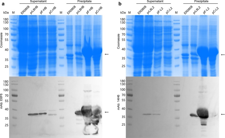 Fig. 4