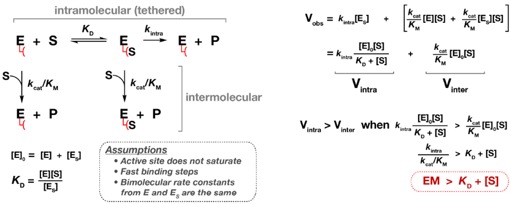 Scheme 1.