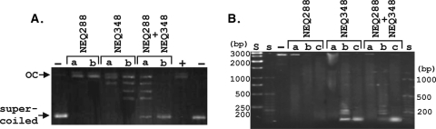 FIG. 3.