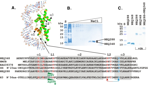 FIG. 1.