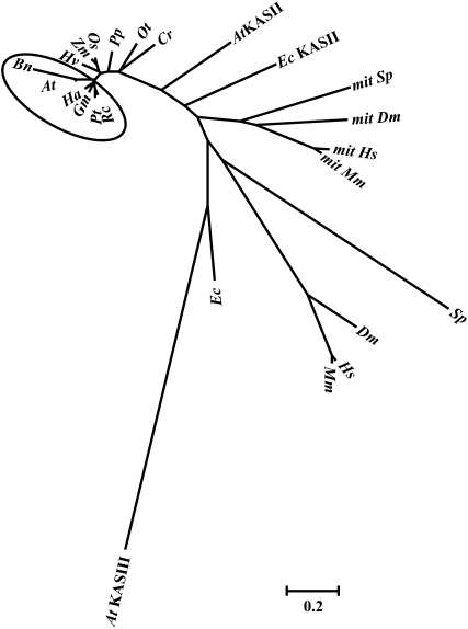 Figure 10.