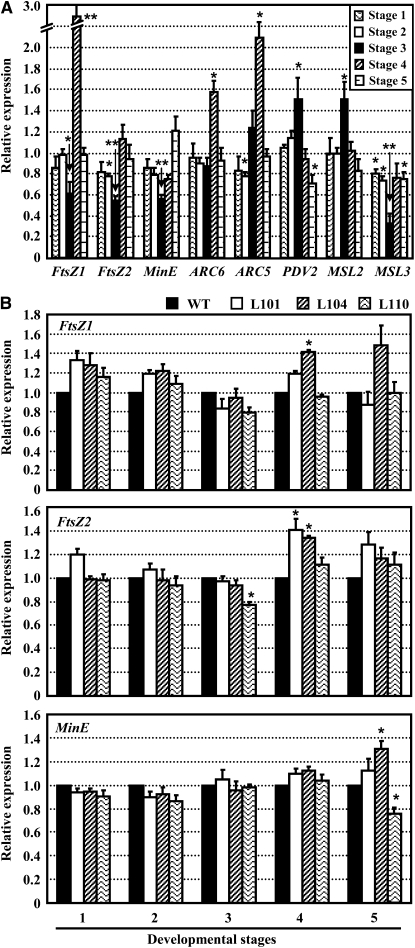 Figure 7.