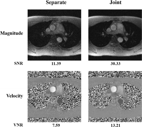 Fig. 9