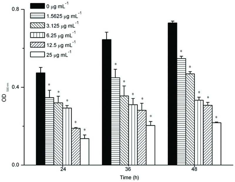 FIGURE 2