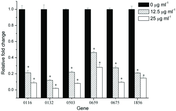 FIGURE 5