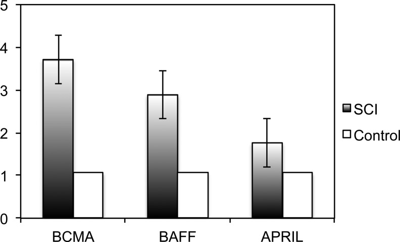 FIG. 2.