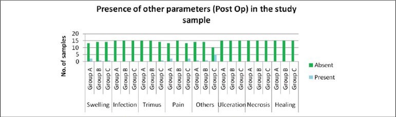 Graph 10