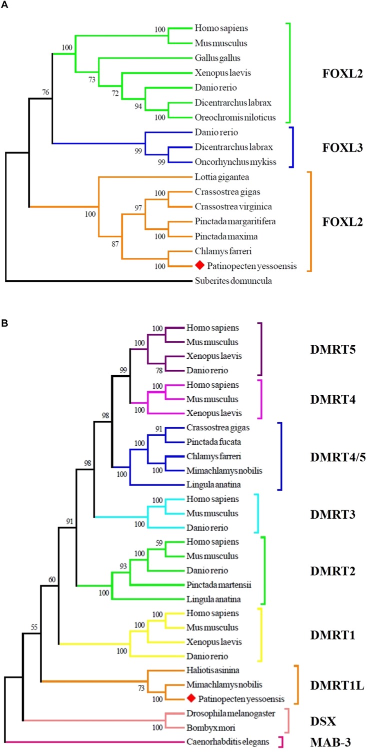 FIGURE 3