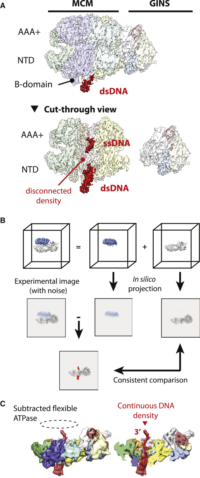 Figure 2