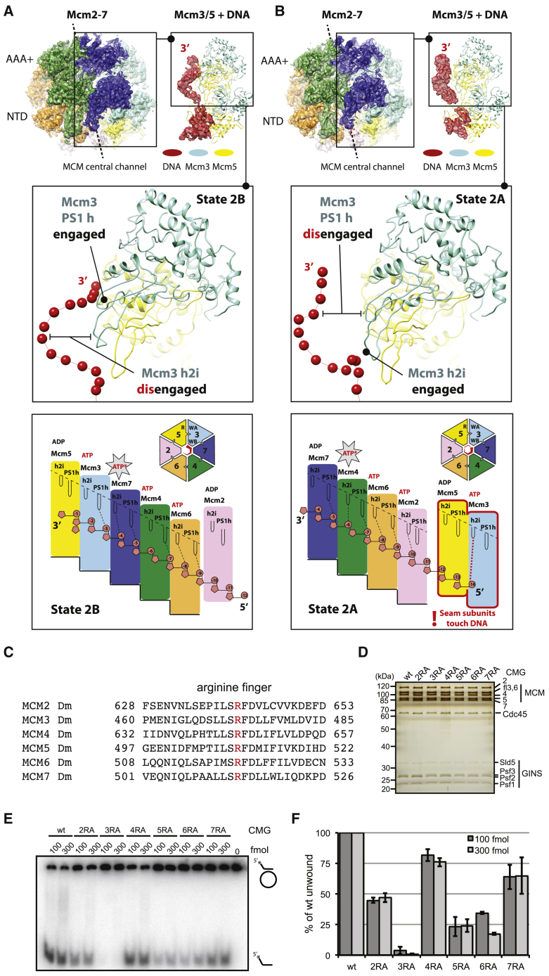 Figure 5