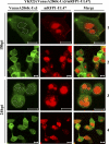 Fig. 9.