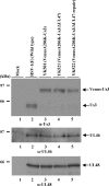 Fig. 10.