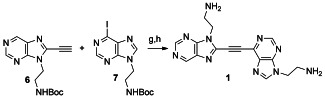 Scheme 2