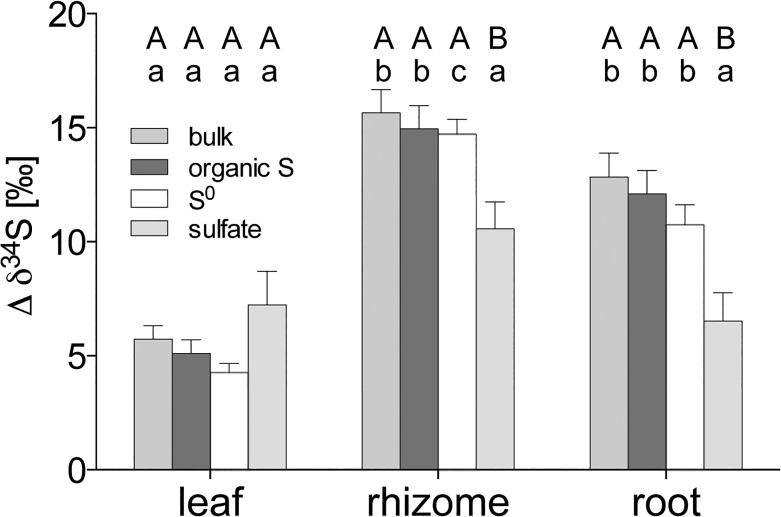 Fig 5