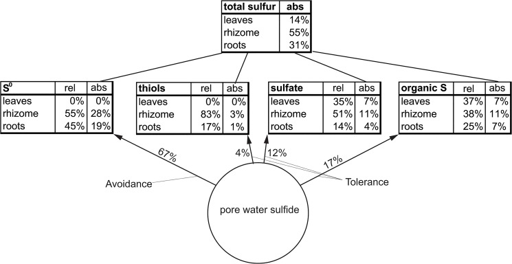 Fig 7