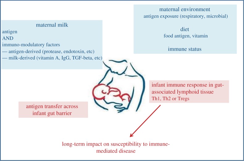 Figure 1.