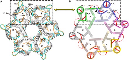 Fig. 3