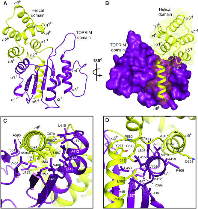 Figure 2.