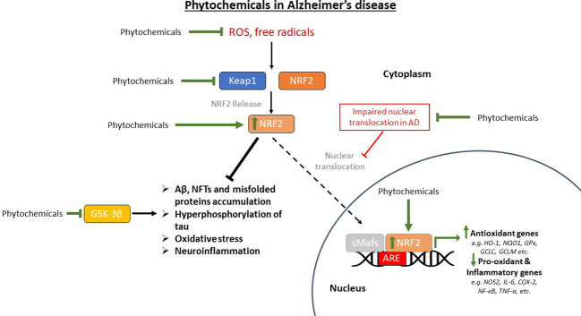 Figure 4