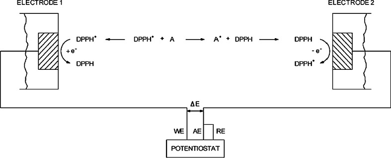 Fig. 5