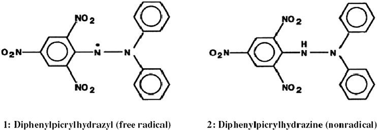 Fig. 1